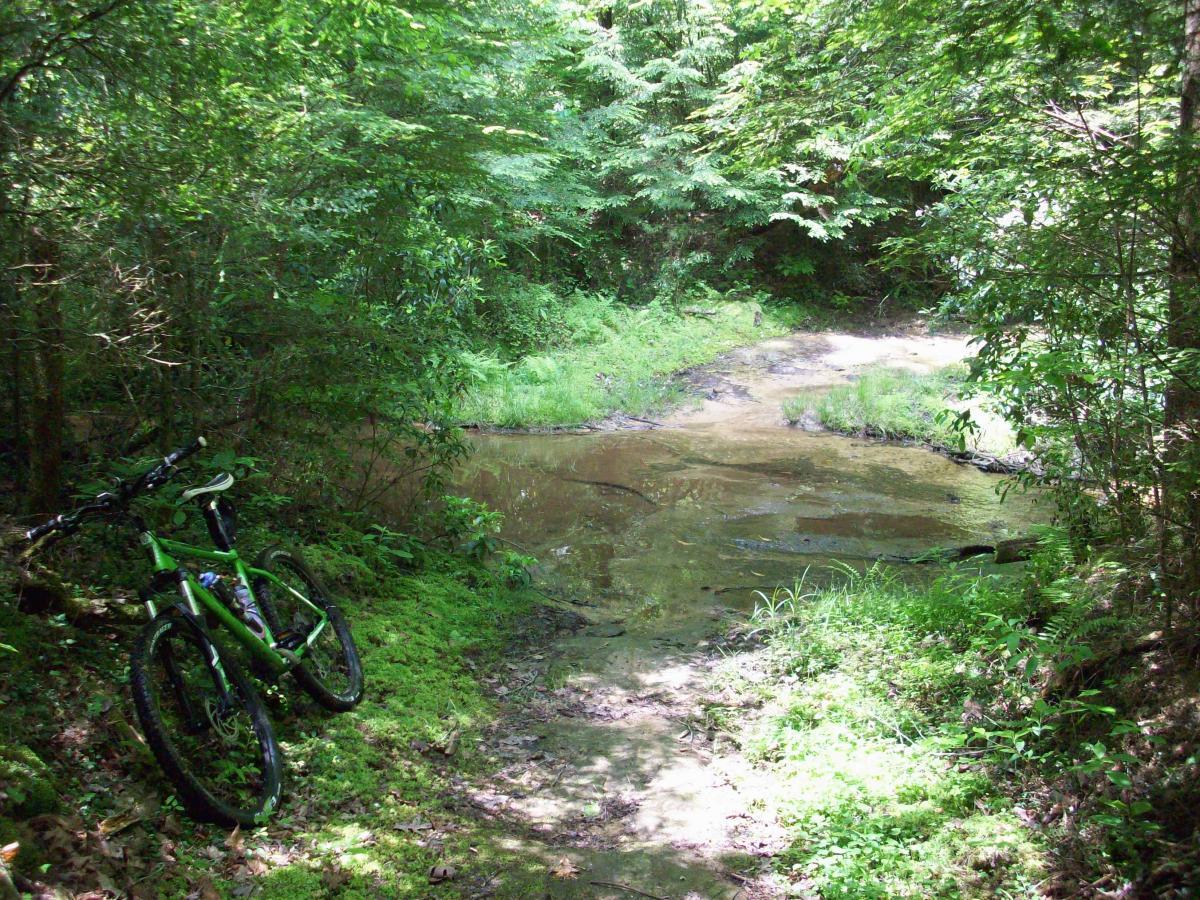 A green mountain bike resting on a grassy path near a small water body, surrounded by dense greenery and sunlight filtering through the trees. Big South Fork mountain bike trail.