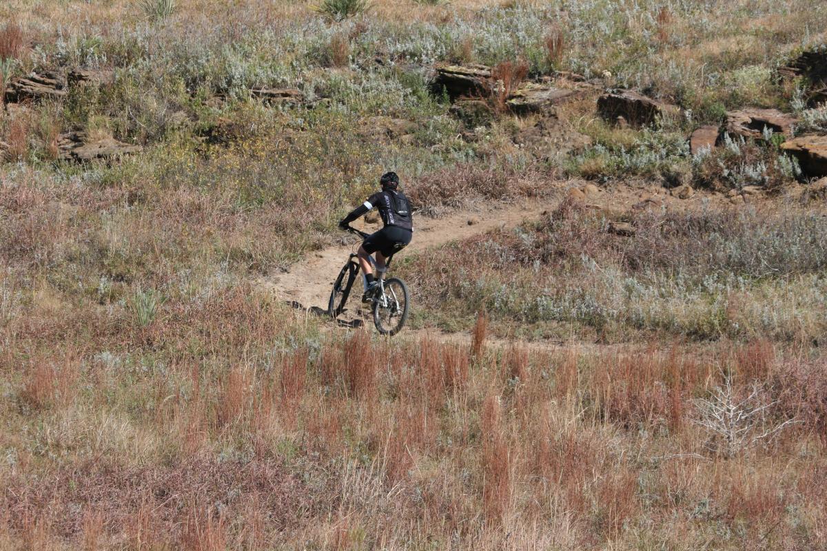 A mountain biker riding along a dirt trail in a grassy landscape with patches of wildflowers and rocky areas. Switchgrass mountain bike trail.