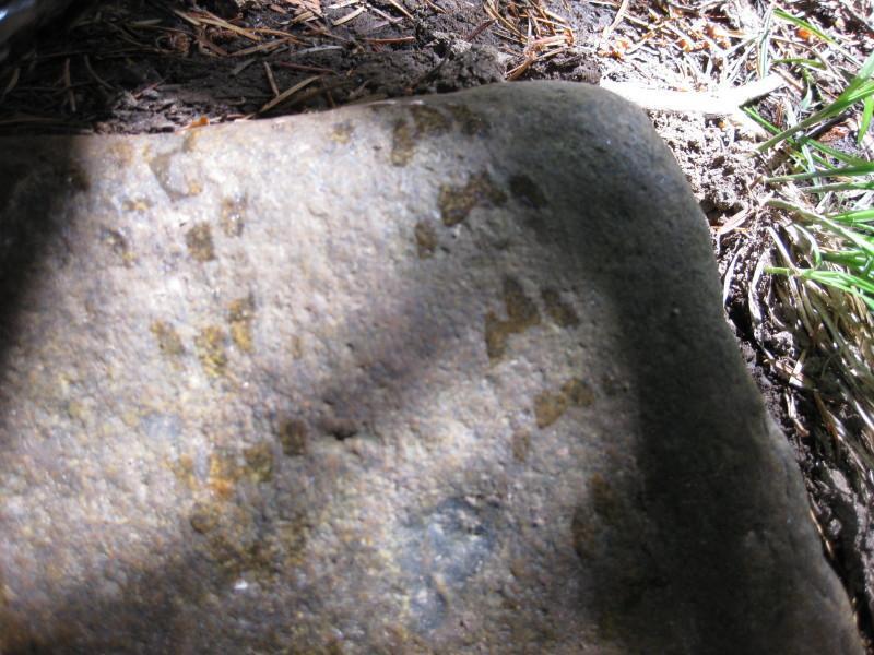 WTB WeirWolf: Close-up of a textured rock surface, displaying natural colors and markings, with some areas illuminated by sunlight and shadows cast across the ground, surrounded by soil and small patches of grass.