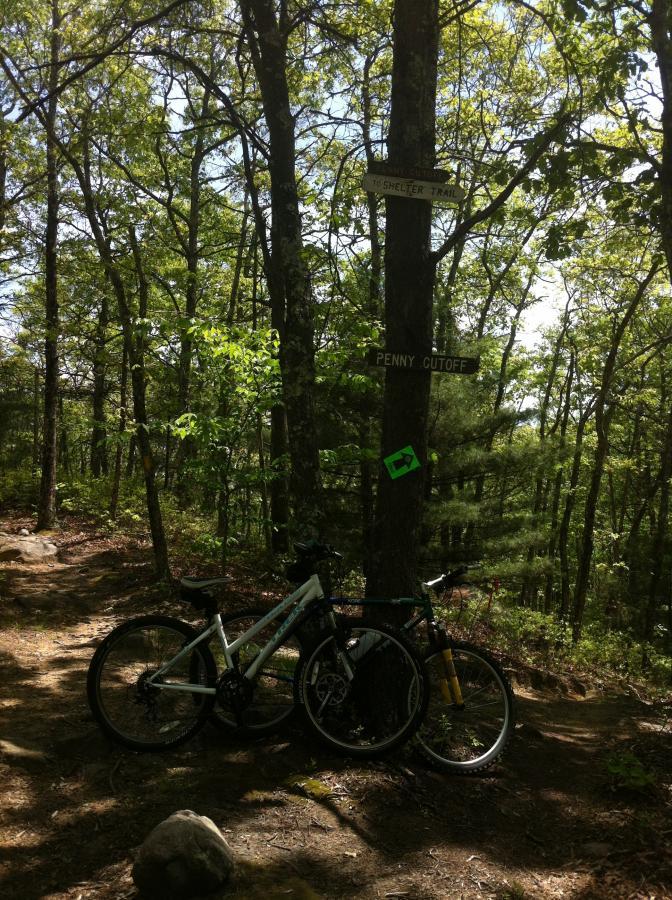 Two mountain bikes lean against a tree at a hiking trail intersection in a wooded area. The tree features directional signs labeled "Shelter Trail" and "Penny Cutoff," with a green trail marker visible nearby. Sunlight filters through the leaves, creating a serene outdoor scene. Arcadia State Park mountain bike trail.