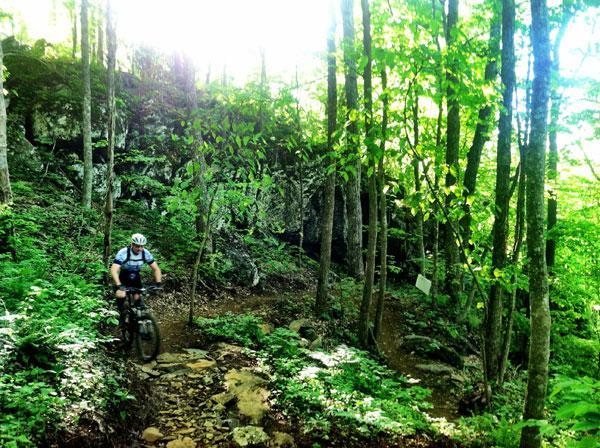 A mountain biker navigates a rocky trail surrounded by lush green trees and foliage in a sunlit forest. Rocky Knob Park mountain bike trail.
