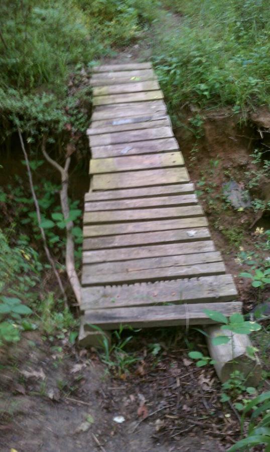 A narrow wooden bridge overgrown with grass and shrubs, leading across a small ditch in a wooded area. The bridge is made of planks with some gaps and appears weathered from use. Finch Park mountain bike trail.