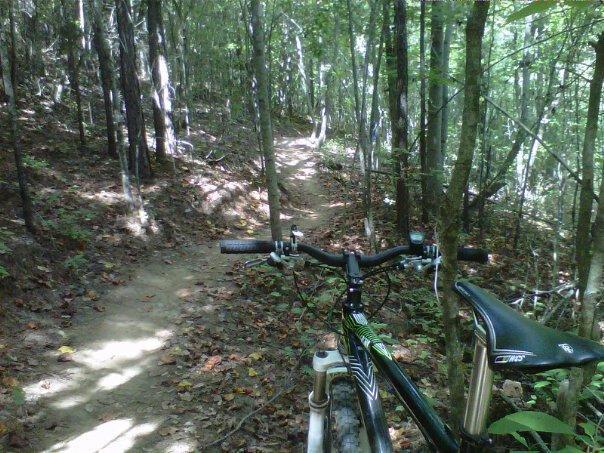 Mountain bike positioned on a dirt trail surrounded by tall trees and foliage, with a winding path leading further into the woods. Taylor Randahl Memorial Mountain Bike Trails At Olde Rope Mill Park mountain bike trail.