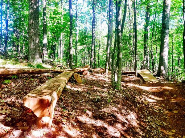 A peaceful wooded trail featuring natural wooden benches and paths, surrounded by lush green trees and dappled sunlight filtering through the leaves. Rocky Knob Park mountain bike trail.