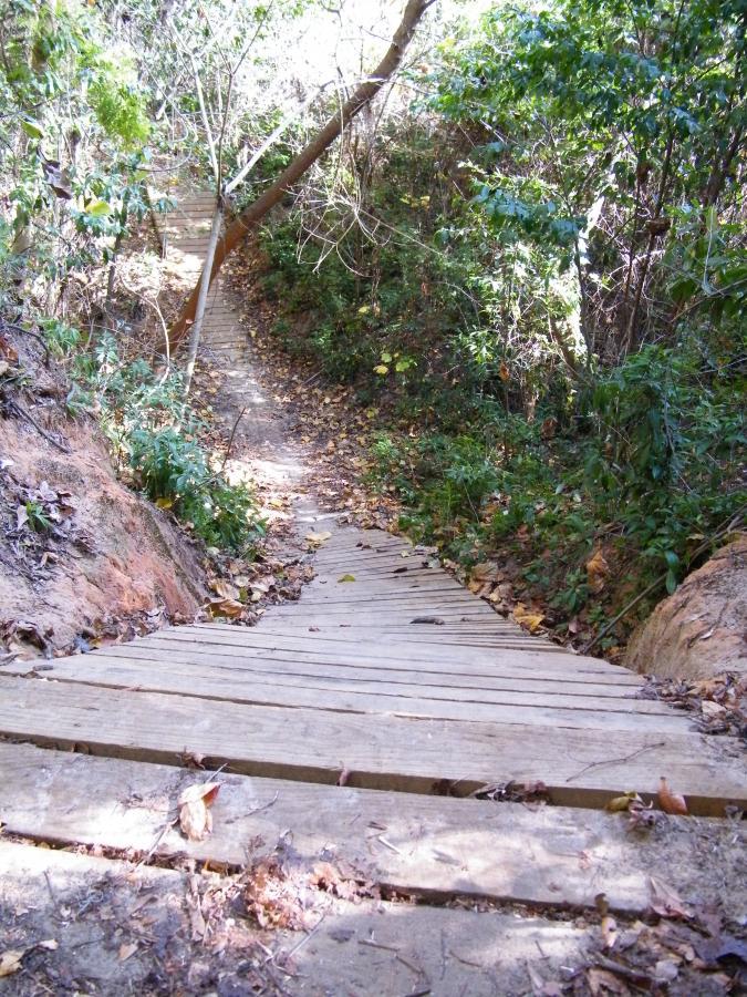 A wooden pathway leads down through a forested area, surrounded by green foliage and scattered autumn leaves. The path curves gently, inviting exploration into the natural surroundings. Tom Brown / Lafayette Heritage Park mountain bike trail.