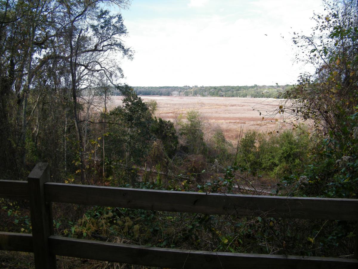 A scenic view of a vast, open landscape featuring dry marshland and distant trees, framed by shrubs and a wooden fence in the foreground. The sky is partly cloudy, suggesting a serene atmosphere. Tom Brown / Lafayette Heritage Park mountain bike trail.