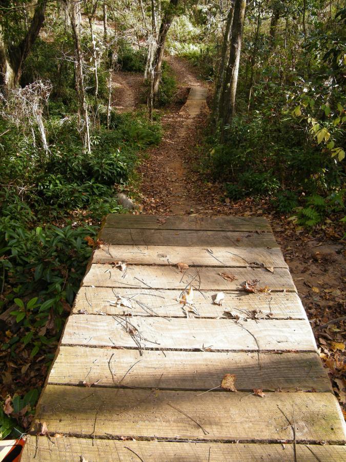 A wooden bridge leads over a small path in a lush, wooded area, surrounded by green plants and trees. Fallen leaves are scattered on the bridge, suggesting an autumn setting. The path ahead diverges into two trails, inviting exploration. Tom Brown / Lafayette Heritage Park mountain bike trail.