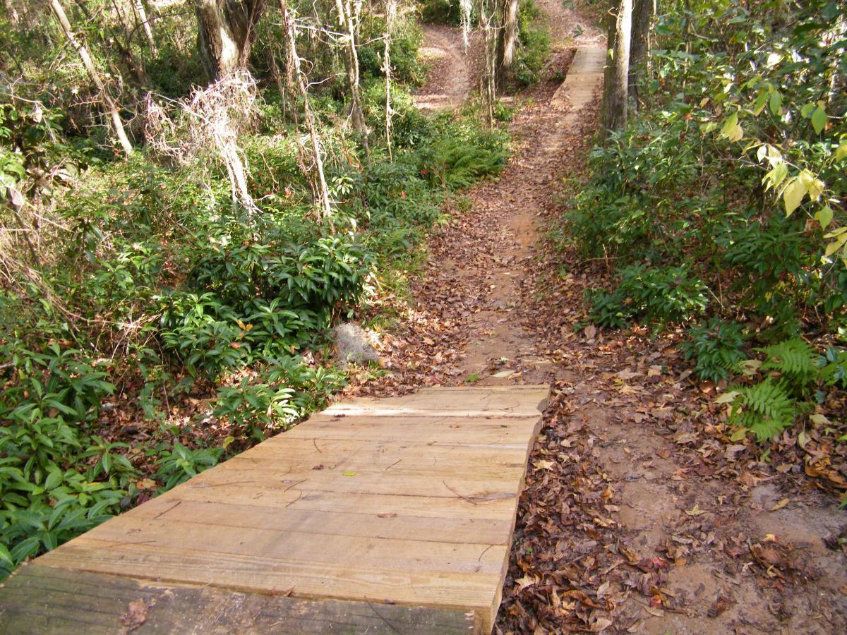 Wooden footbridge leading over a dirt path covered with fallen leaves, surrounded by lush green vegetation and trees in a forested area. Tom Brown / Lafayette Heritage Park mountain bike trail.
