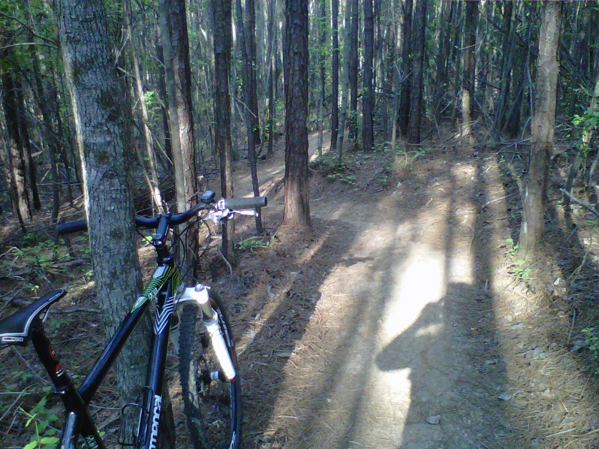 A mountain bike resting against a tree in a wooded area, with a dirt trail visible in the background, illuminated by sunlight filtering through the trees. Taylor Randahl Memorial Mountain Bike Trails At Olde Rope Mill Park mountain bike trail.