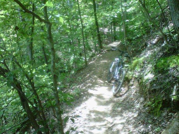 A winding dirt trail surrounded by lush green trees, with a bicycle leaning against a tree on the left side. The path is slightly visible, leading further into the woods. Taylor Randahl Memorial Mountain Bike Trails At Olde Rope Mill Park mountain bike trail.