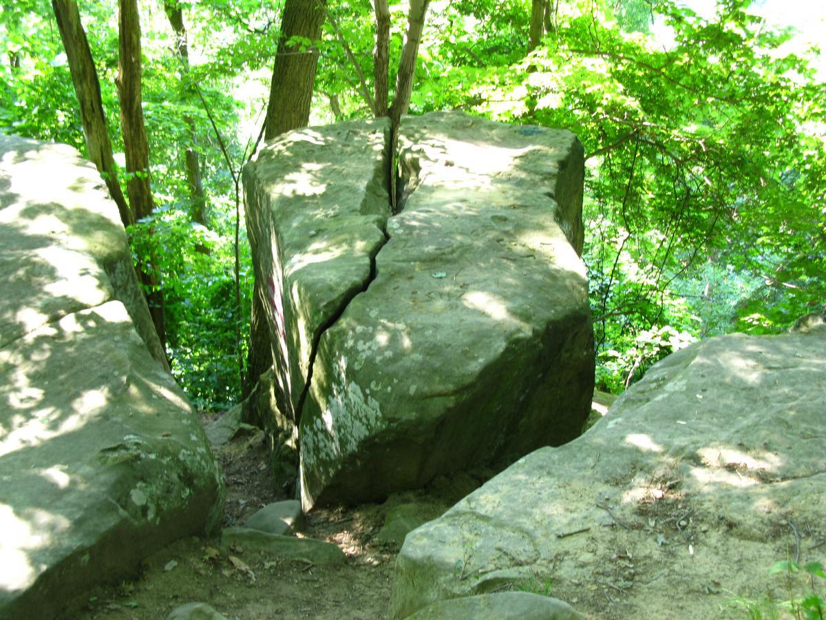 A large, cracked boulder situated between two other rocks, surrounded by vibrant green foliage in a forested area. Sunlight filters through the trees, casting dappled shadows on the stones. Sells Park mountain bike trail.