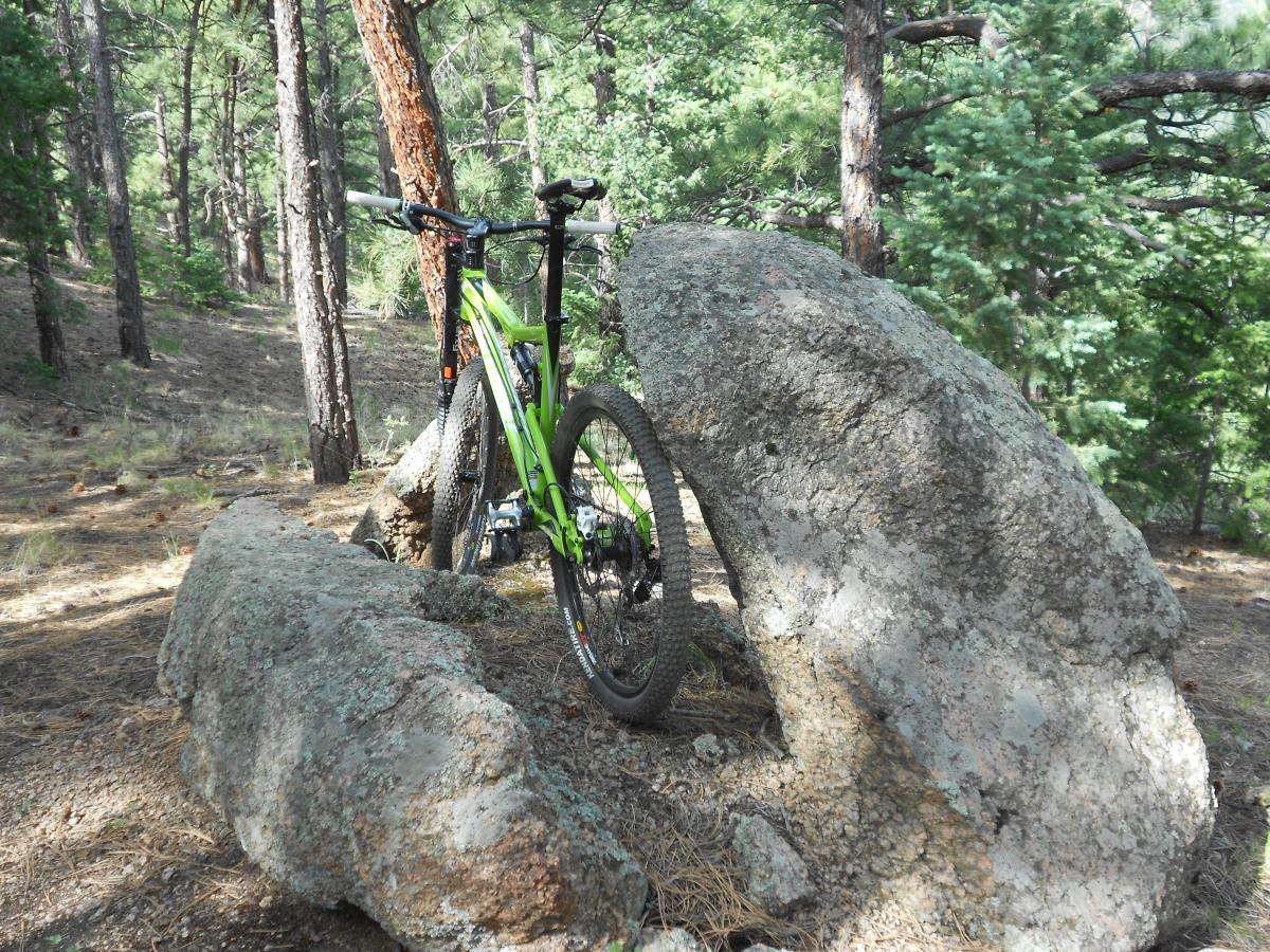 A green mountain bike leaning against a large rock in a wooded area, surrounded by tall trees and pine needles on the ground. Captain Jack's mountain bike trail.