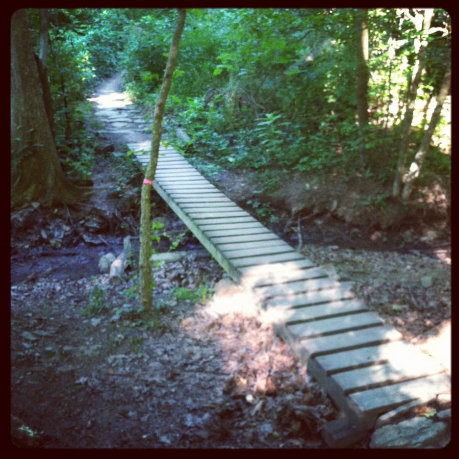 A narrow wooden footbridge crosses a small stream, surrounded by dense greenery and trees in a forested area. The path on one side of the bridge leads deeper into the woods, while the other side features a natural landscape with leaf-covered ground. Frick Park mountain bike trail.
