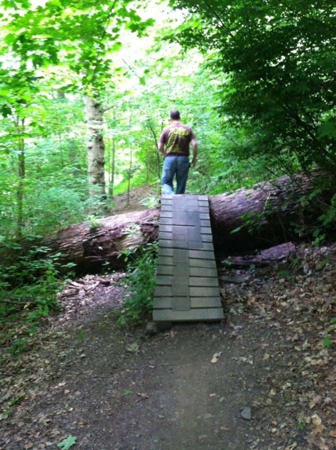 A person walking on a wooden bridge that spans a fallen log in a lush green forest. The surroundings are filled with trees and dense foliage, creating a natural, serene atmosphere. Frick Park mountain bike trail.