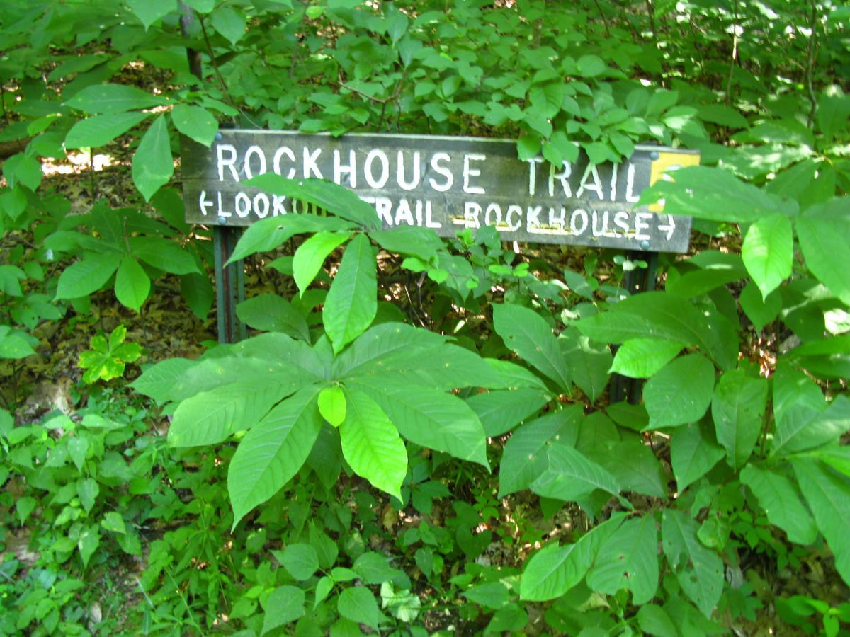 A wooden sign reading "ROCKHOUSE TRAIL (LOOKOUT TRAIL ROCKHOUSE)" surrounded by dense green foliage, indicating a hiking path in a wooded area. Sells Park mountain bike trail.