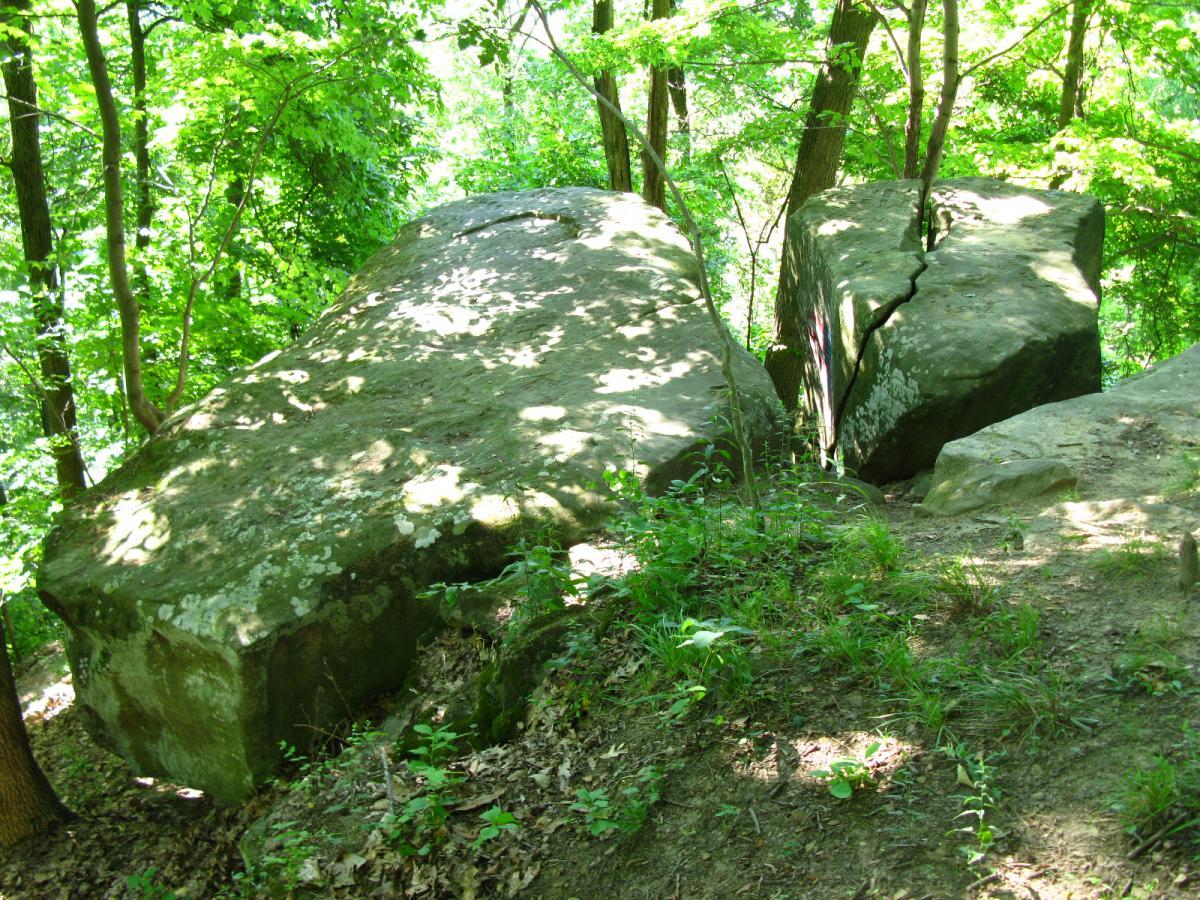 Two large boulders are partially covered in greenery, surrounded by a dense forest with sunlight filtering through the leaves. The boulders are uneven in shape, with one showing a noticeable crack or fissure. The ground is carpeted with leaves and small plants, enhancing the natural setting. Sells Park mountain bike trail.