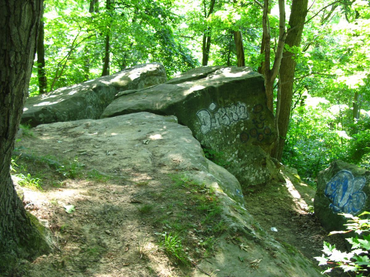 A natural landscape featuring large rocks covered in graffiti, surrounded by lush green trees and foliage. The ground is partly rocky and grassy, suggesting a trail or pathway leading through the area. Sells Park mountain bike trail.