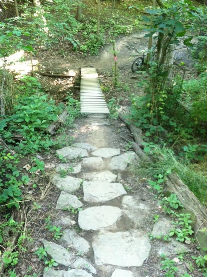 A dirt path winding through a lush forest, featuring a wooden bridge crossing a small gap. Stone steps lead down the path, surrounded by greenery and scattered with pebbles and logs. A bicycle is partially visible in the background. Frick Park mountain bike trail.