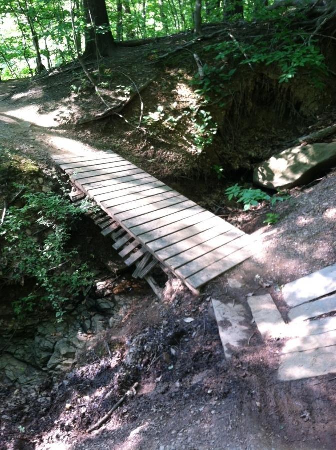 A narrow wooden bridge crossing a small ravine in a forested area, surrounded by trees and greenery. The bridge is supported by beams underneath and appears rustic, with some dirt and rocks visible around the edges. Sunlight filters through the leaves, creating a dappled effect on the ground. Frick Park mountain bike trail.