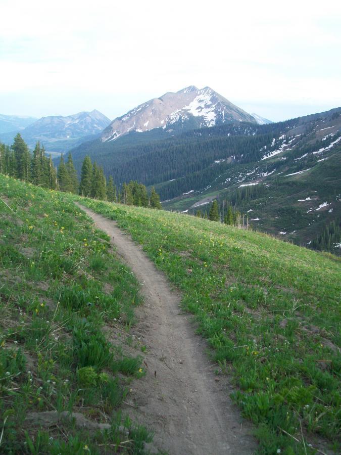 A winding dirt trail leads through vibrant green grass and wildflowers, with a mountain range in the background. Snow-capped peaks rise majestically, contrasting against the clear sky. The scene captures a serene and picturesque landscape, perfect for hiking and enjoying nature. Trail 401 mountain bike trail.