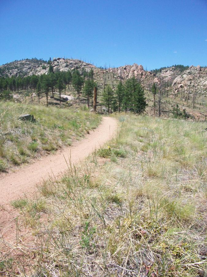 A winding dirt path leads through a grassy landscape with scattered shrubs and young trees, set against a backdrop of rugged hills and rock formations under a clear blue sky. Buffalo Creek mountain bike trail.
