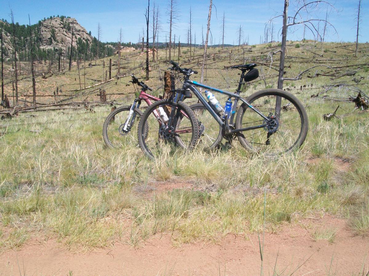Two mountain bikes are resting on a grassy area, surrounded by a landscape showing signs of forest recovery, with sparse, charred trees in the background and rocky hills in the distance. The sky is bright and clear. Buffalo Creek mountain bike trail.