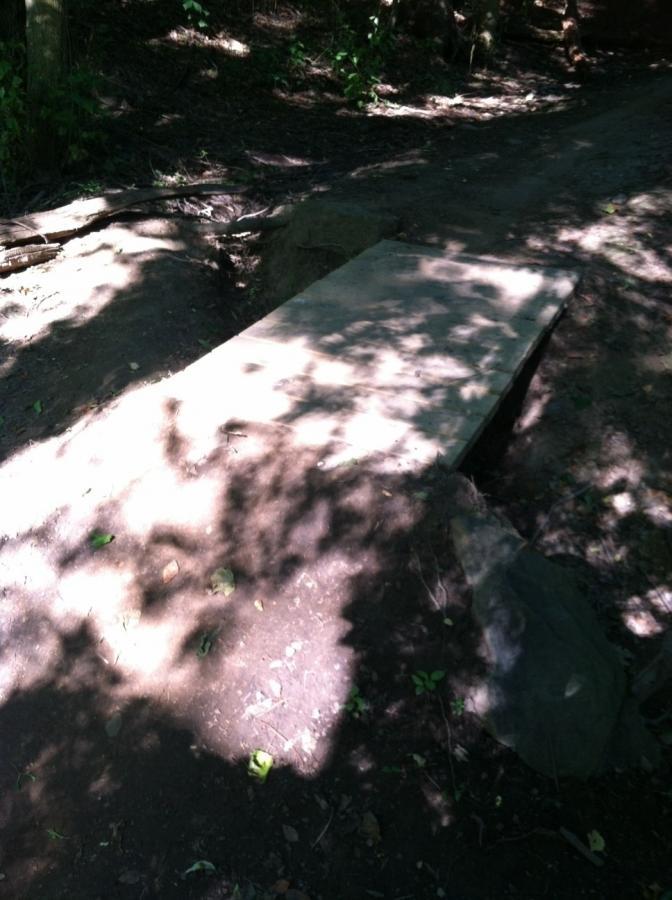 A simple wooden bridge spanning a small gap in a wooded area, with dappled sunlight casting shadows on the ground. Surrounding vegetation includes trees and scattered leaves on the trail. Frick Park mountain bike trail.