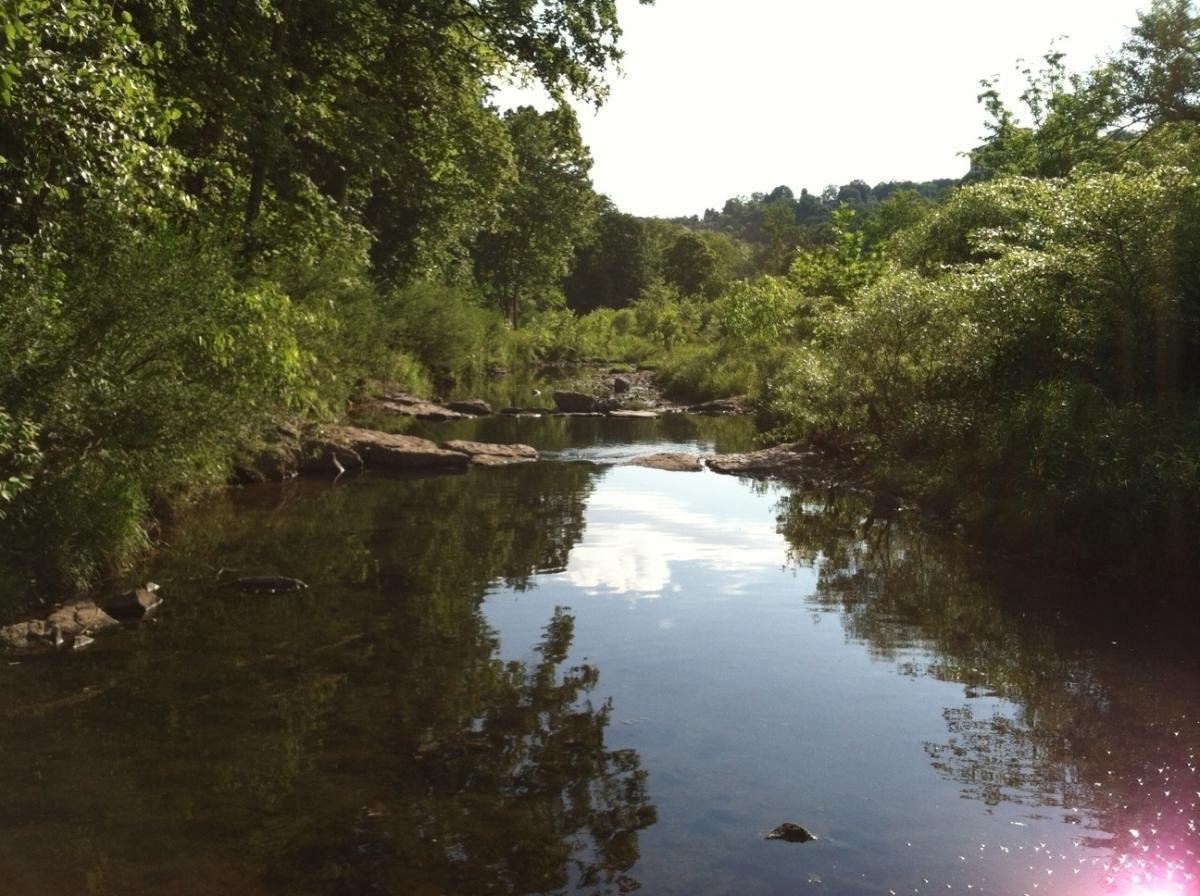 A tranquil river scene surrounded by lush greenery, with sunlight filtering through the trees. The calm water reflects the surrounding foliage and rocks, creating a serene and picturesque natural landscape. Frick Park mountain bike trail.