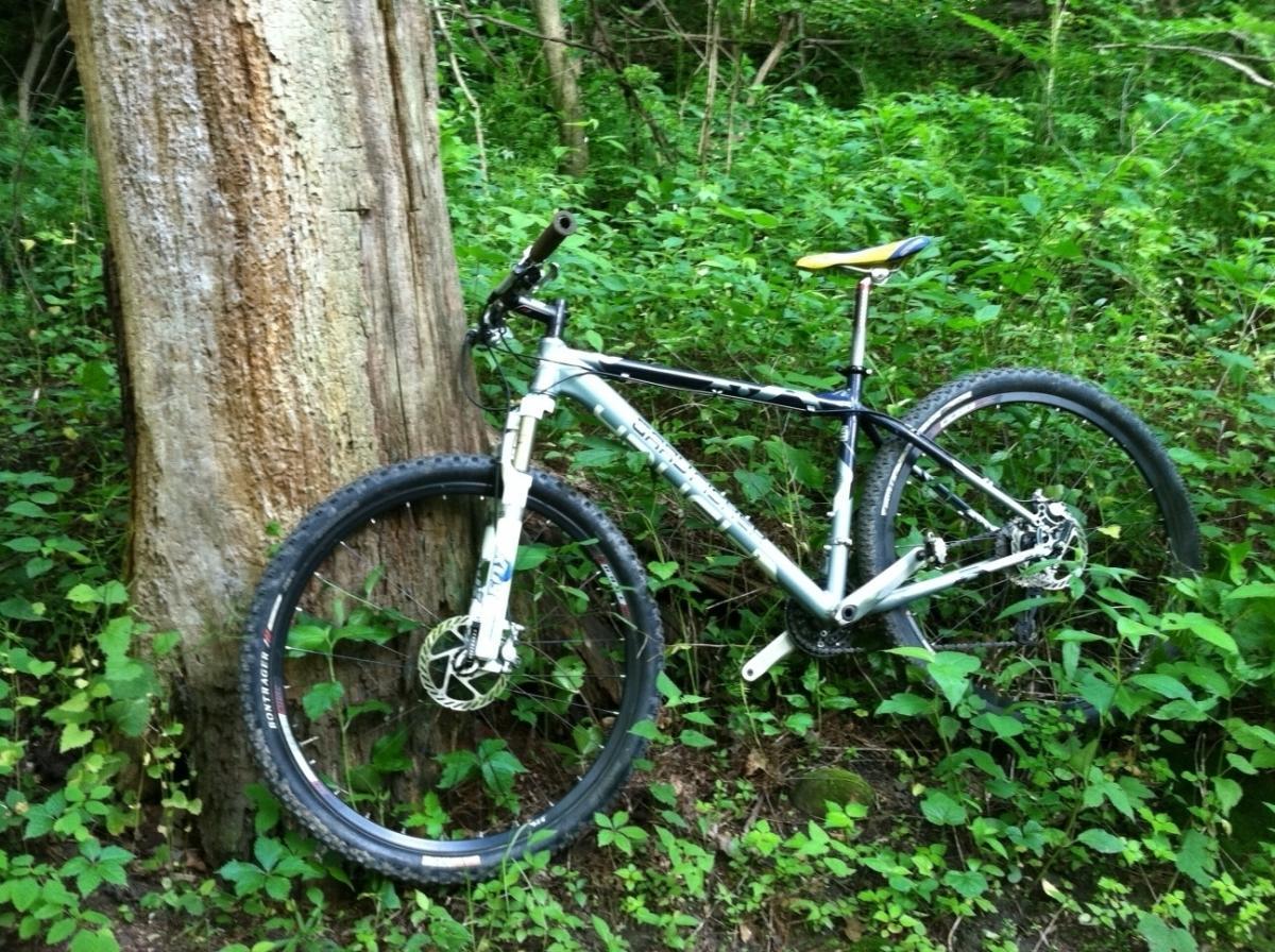 A mountain bike resting against a large tree in a lush green forest, surrounded by leafy undergrowth. Frick Park mountain bike trail.