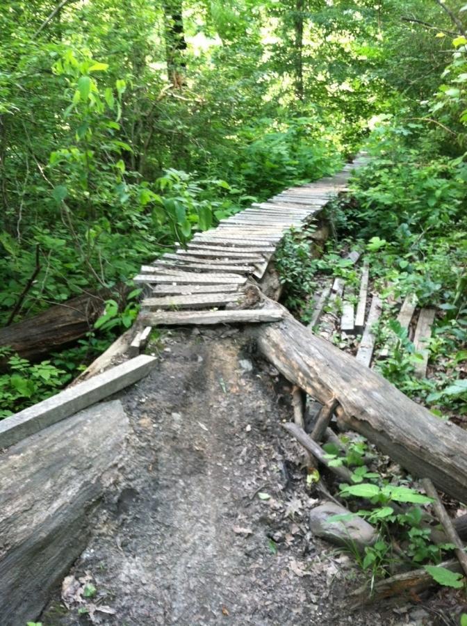 A narrow wooden bridge made of uneven planks crosses a small, muddy path in a dense forest. Surrounding vegetation includes various green plants and shrubs, creating a lush backdrop. The scene captures the essence of a natural hiking trail. Frick Park mountain bike trail.