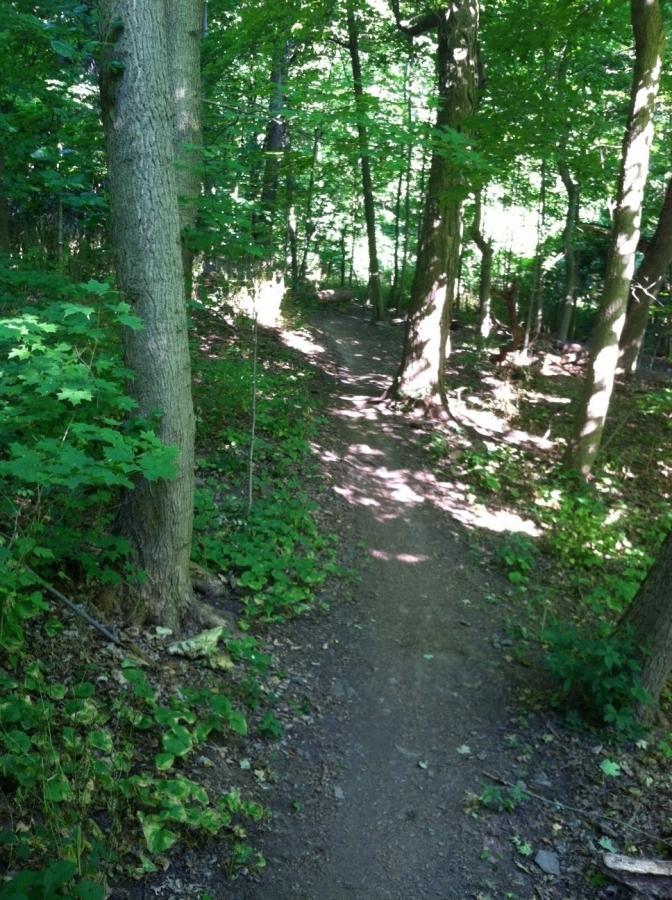 A serene woodland scene featuring a narrow dirt path winding through a lush green forest. Tall trees with vibrant foliage frame the trail, creating dappled light and shadow on the ground. The surrounding underbrush is rich with leaves and small plants, contributing to the tranquil atmosphere of the natural setting. Frick Park mountain bike trail.