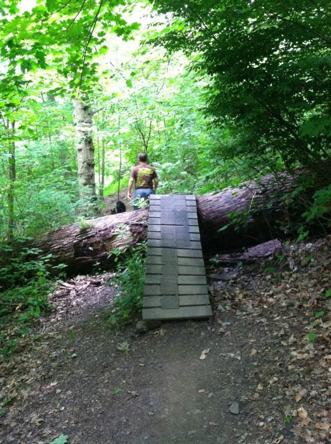 A hiker walks along a forest trail, crossing a log with a wooden bridge made of planks. Surrounding the path are lush green trees and foliage, creating a serene natural setting. Frick Park mountain bike trail.