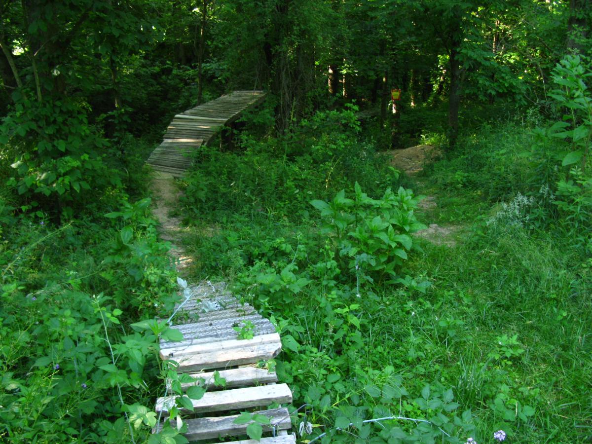 A narrow wooden bridge traverses a lush, green pathway surrounded by dense foliage and trees. The scene captures the tranquility of a forest with vibrant plants and a well-worn dirt trail leading off into the greenery. Vultures Knob mountain bike trail.