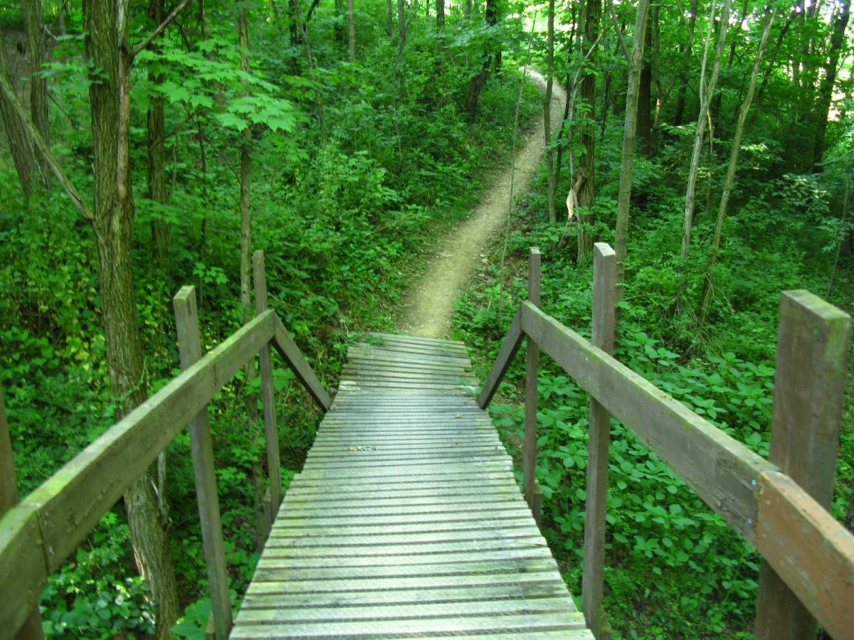 A wooden bridge leading into a lush green forest, with a narrow dirt trail winding through the trees. The scene is vibrant with various shades of green from the foliage, creating a serene and natural atmosphere. Vultures Knob mountain bike trail.