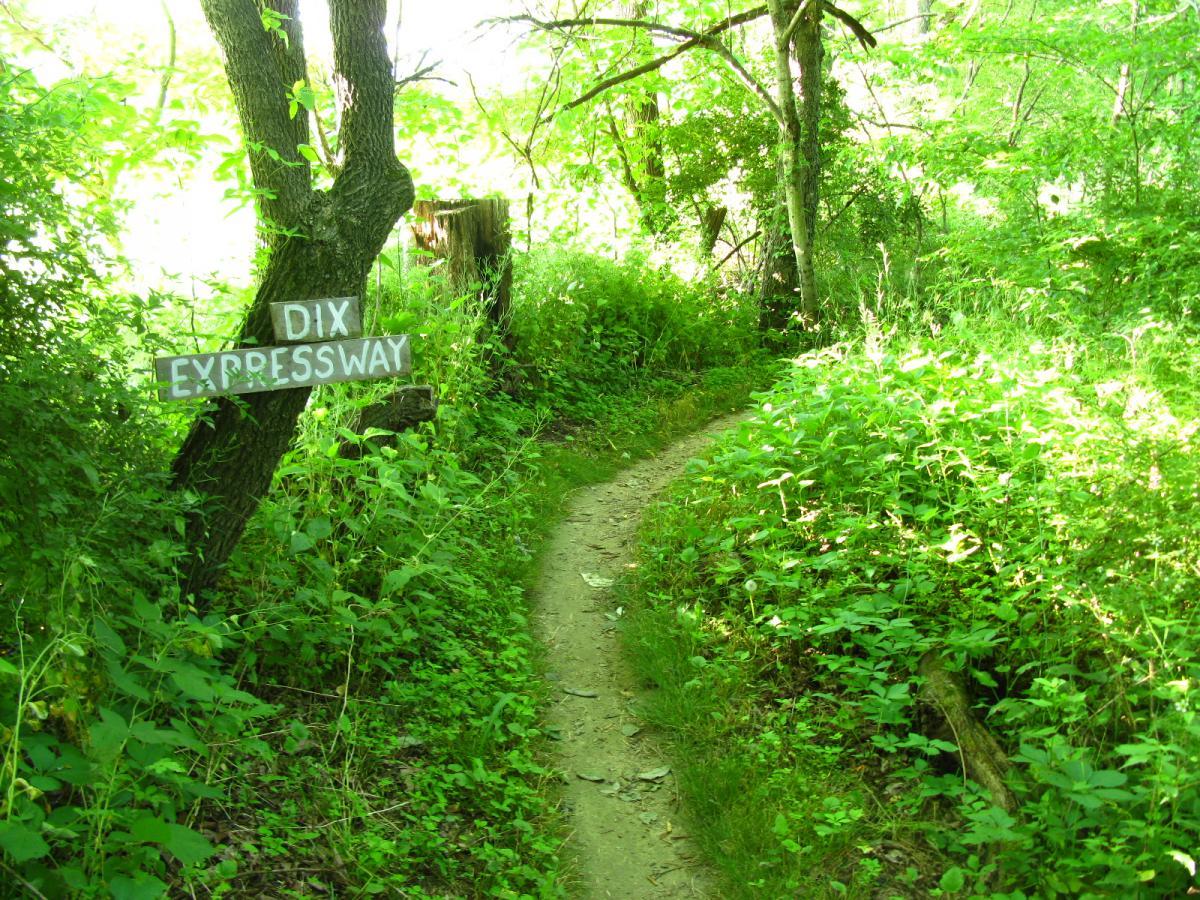 A narrow dirt path winding through lush green foliage, with a wooden sign labeled "DIX EXPRESSWAY" attached to a tree on the left. Vultures Knob mountain bike trail.