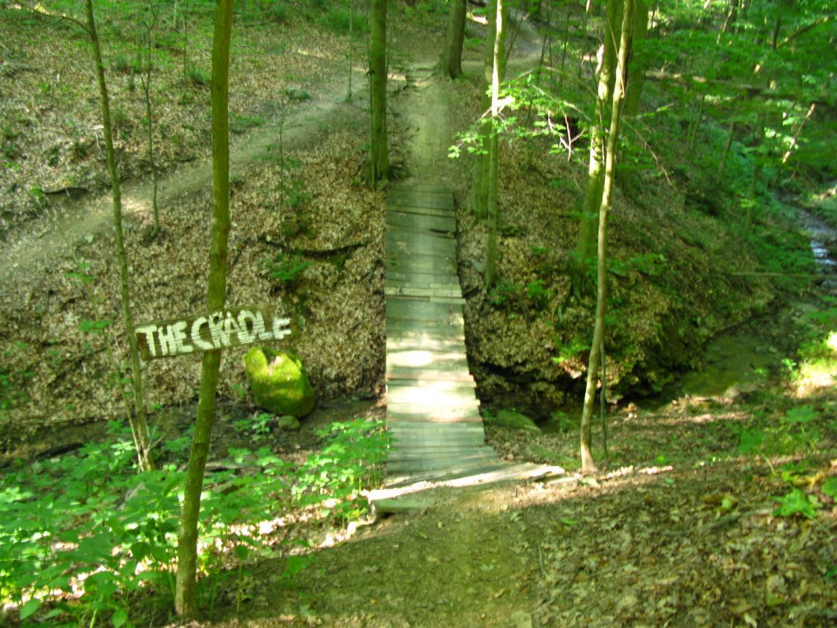 A wooden bridge crossing a small stream in a wooded area, with a sign reading "THE CIRCLE" attached to a nearby tree. The scene features lush green foliage, fallen leaves, and a winding path leading away from the bridge. Vultures Knob mountain bike trail.