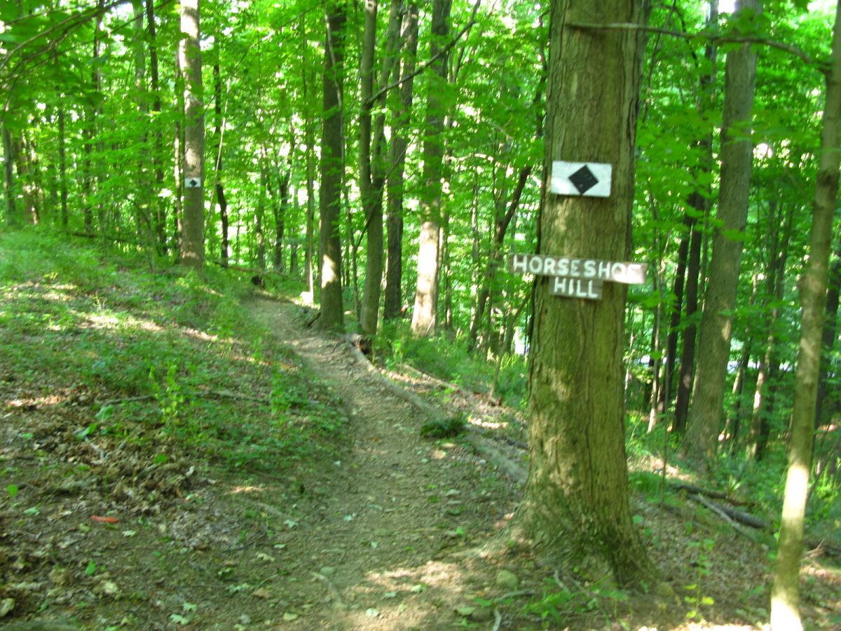 A sunlit dirt trail winding through a lush green forest, with signs indicating directions. A sign reads "Horseshoe Hill," and another sign features a diamond shape, pointing towards the path. The trees are dense, creating a vibrant, natural setting. Vultures Knob mountain bike trail.