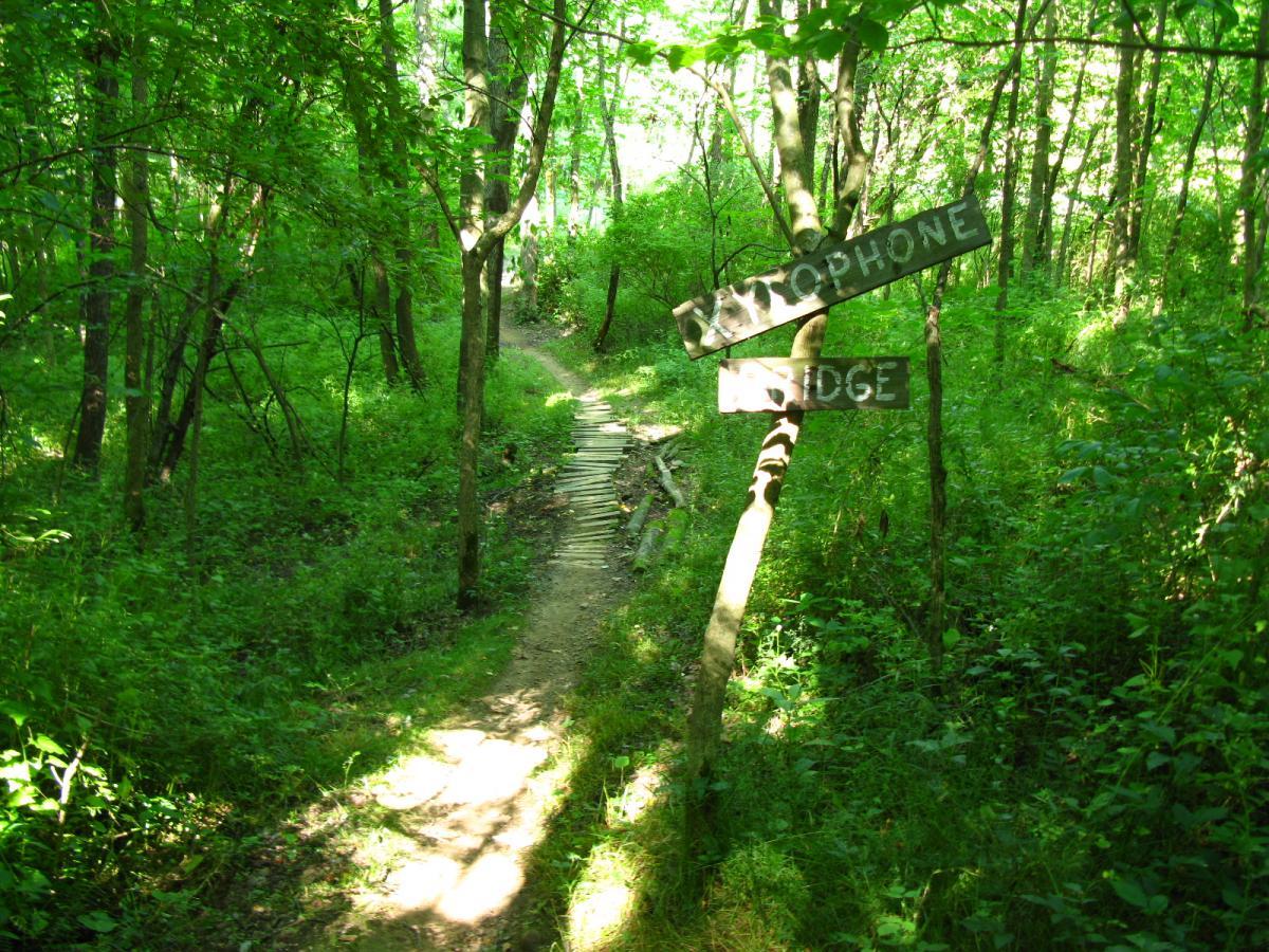 A lush green forest path with a wooden signpost displaying the words "Autophone" and "Bridge." The path is lined with trees and dense foliage, leading into a serene natural setting. Vultures Knob mountain bike trail.