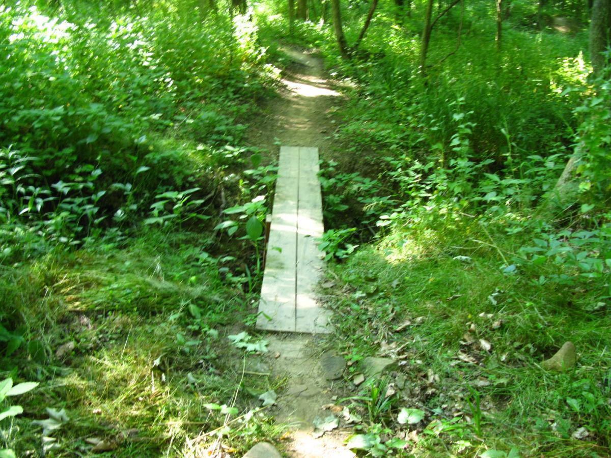 A narrow dirt trail surrounded by lush green vegetation, featuring a wooden footbridge that crosses a small ditch. Sunlight filters through the trees, creating a bright and inviting atmosphere. Vultures Knob mountain bike trail.