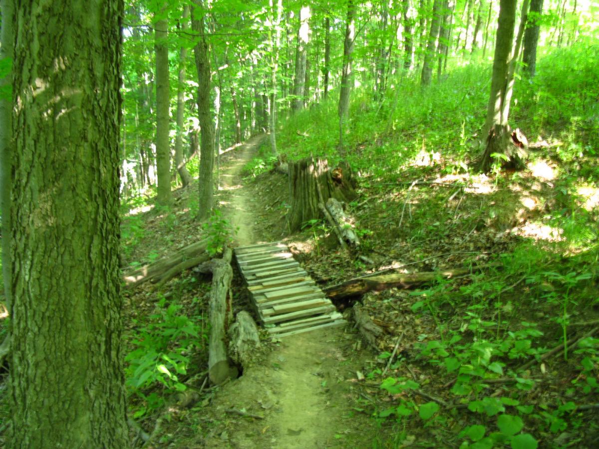 A winding dirt trail through a vibrant green forest, featuring a simple wooden bridge crossing a low area. The scene is illuminated by sunlight filtering through the dense leaves, showcasing the lush foliage and the natural surroundings. Vultures Knob mountain bike trail.