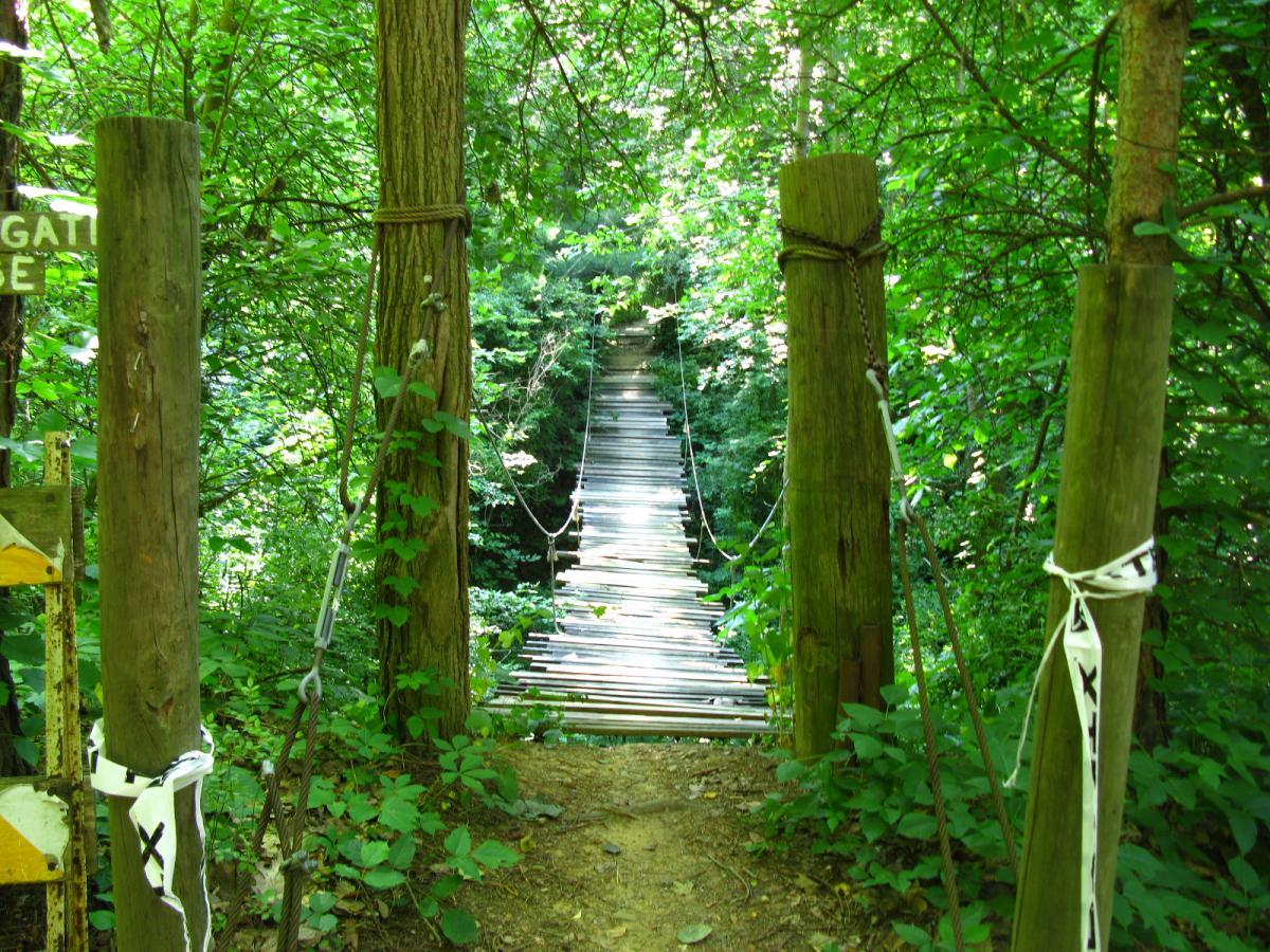 A narrow suspension bridge made of wooden planks stretches across a green, lush forest. The entrance is marked by two wooden posts with ropes, surrounded by dense foliage. Sunlight filters through the trees, creating a serene and inviting atmosphere. A sign nearby is partially obscured by plants, adding to the natural setting. Vultures Knob mountain bike trail.
