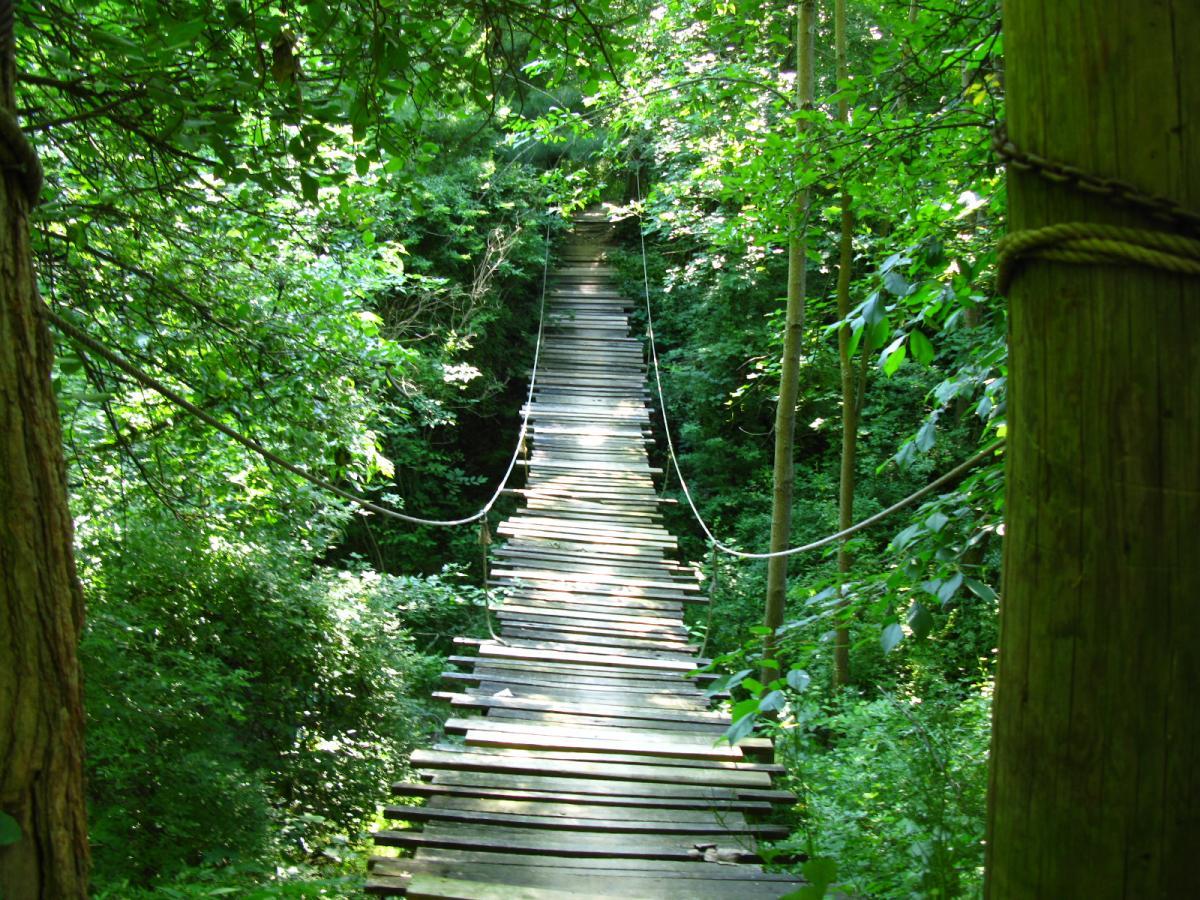 A narrow wooden bridge spans a lush green forest, surrounded by dense foliage and trees. The planks of the bridge are connected by ropes, leading into the vibrant greenery of the woodland. Sunlight filters through the leaves, creating a serene and inviting atmosphere. Vultures Knob mountain bike trail.