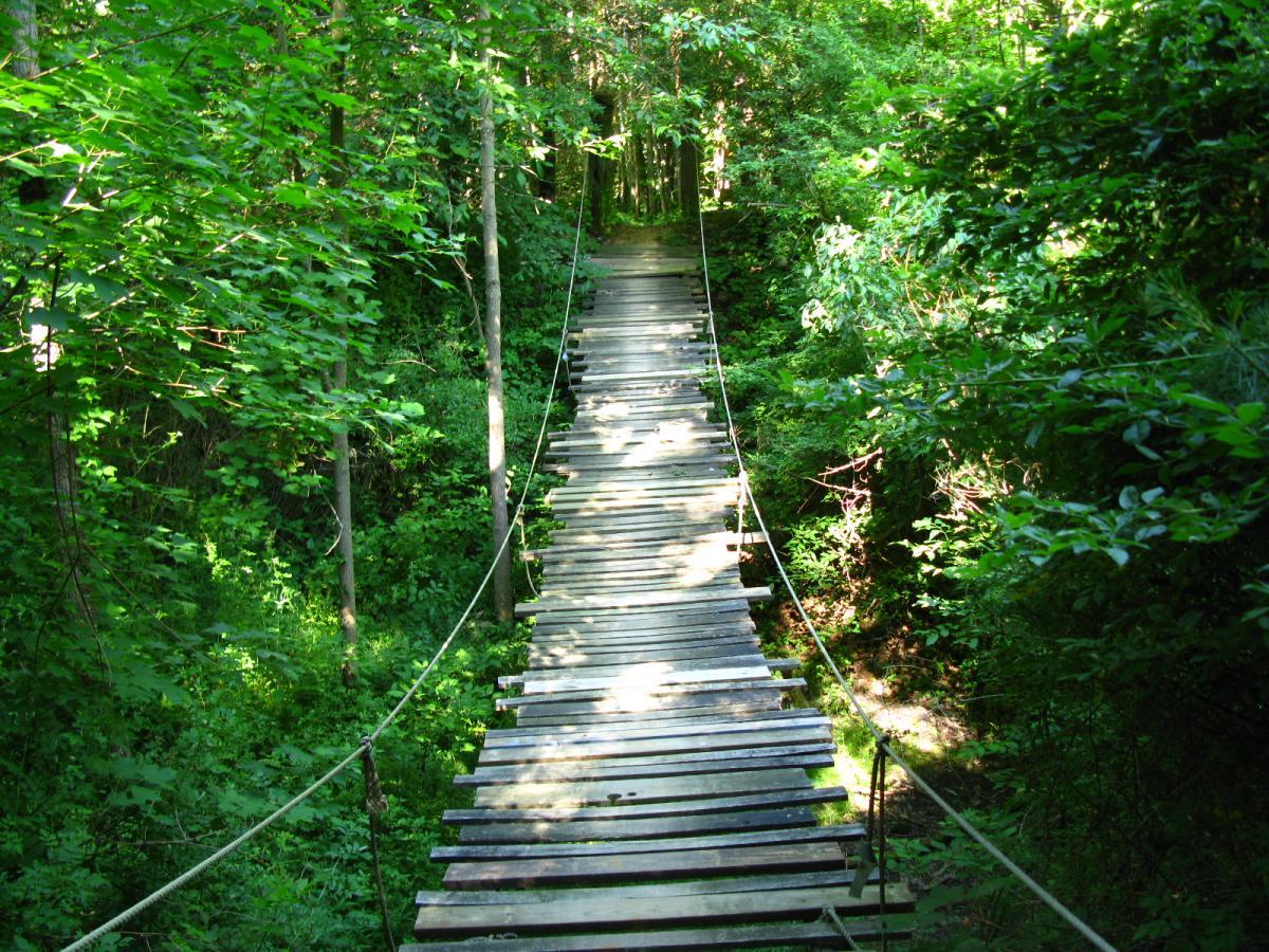 A rustic wooden bridge stretches through a lush, green forest, surrounded by dense foliage and trees. Sunlight filters through the leaves, casting dappled shadows on the planks of the bridge, which is secured with ropes on either side. The serene path leads deeper into the tranquil wilderness. Vultures Knob mountain bike trail.