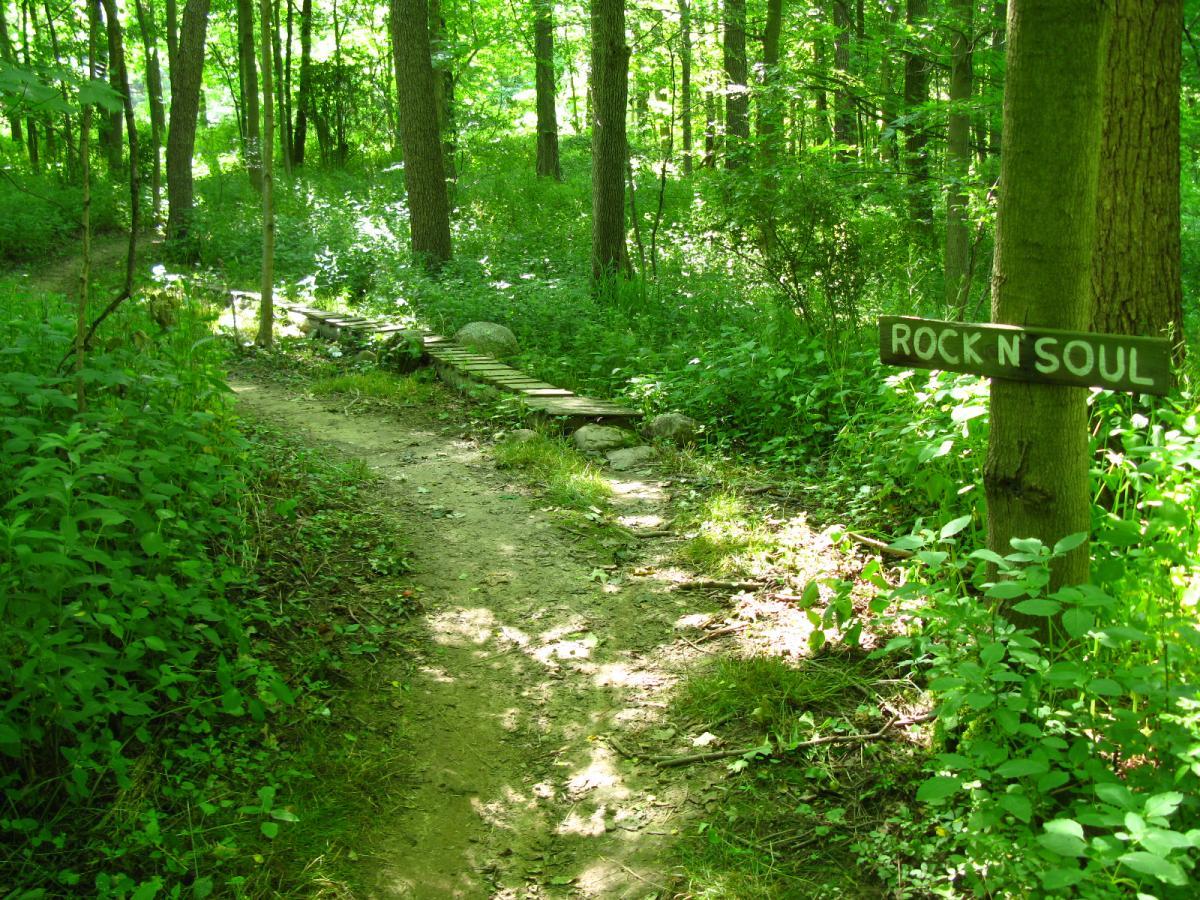 A narrow dirt pathway winding through a vibrant green forest, with lush foliage on either side. A wooden sign labeled "ROCK N' SOUL" is mounted on a tree near the trail. Sunlight filters through the trees, illuminating the trail and surrounding plants. A wooden bridge made of planks crosses a small section of the path. Vultures Knob mountain bike trail.