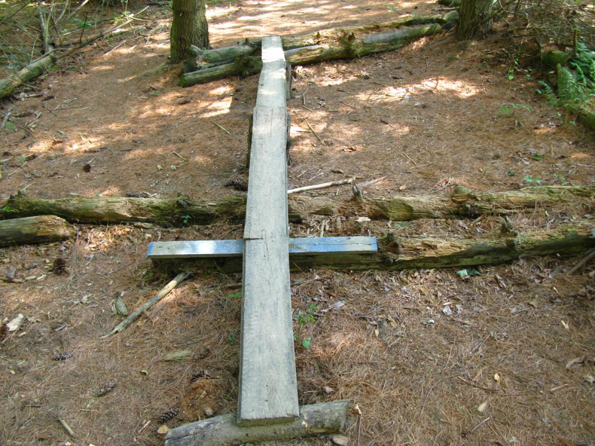 A wooden structure resembling a cross, made from planks and positioned on a forest floor covered with pine needles and small branches. The surrounding area includes scattered pine cones and patches of green plants, with trees in the background. Vultures Knob mountain bike trail.