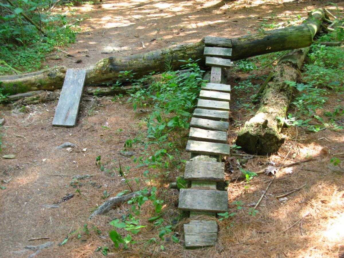 A makeshift wooden footbridge constructed from planks spans over a fallen log in a forested area, surrounded by pine needles and greenery. Vultures Knob mountain bike trail.
