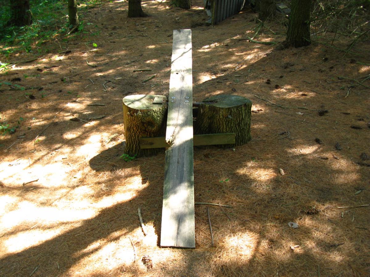 A wooden seesaw balanced on two round tree stump seats, set in a forested area covered with pine needles and surrounded by trees. The scene is dappled with sunlight filtering through the branches above. Vultures Knob mountain bike trail.