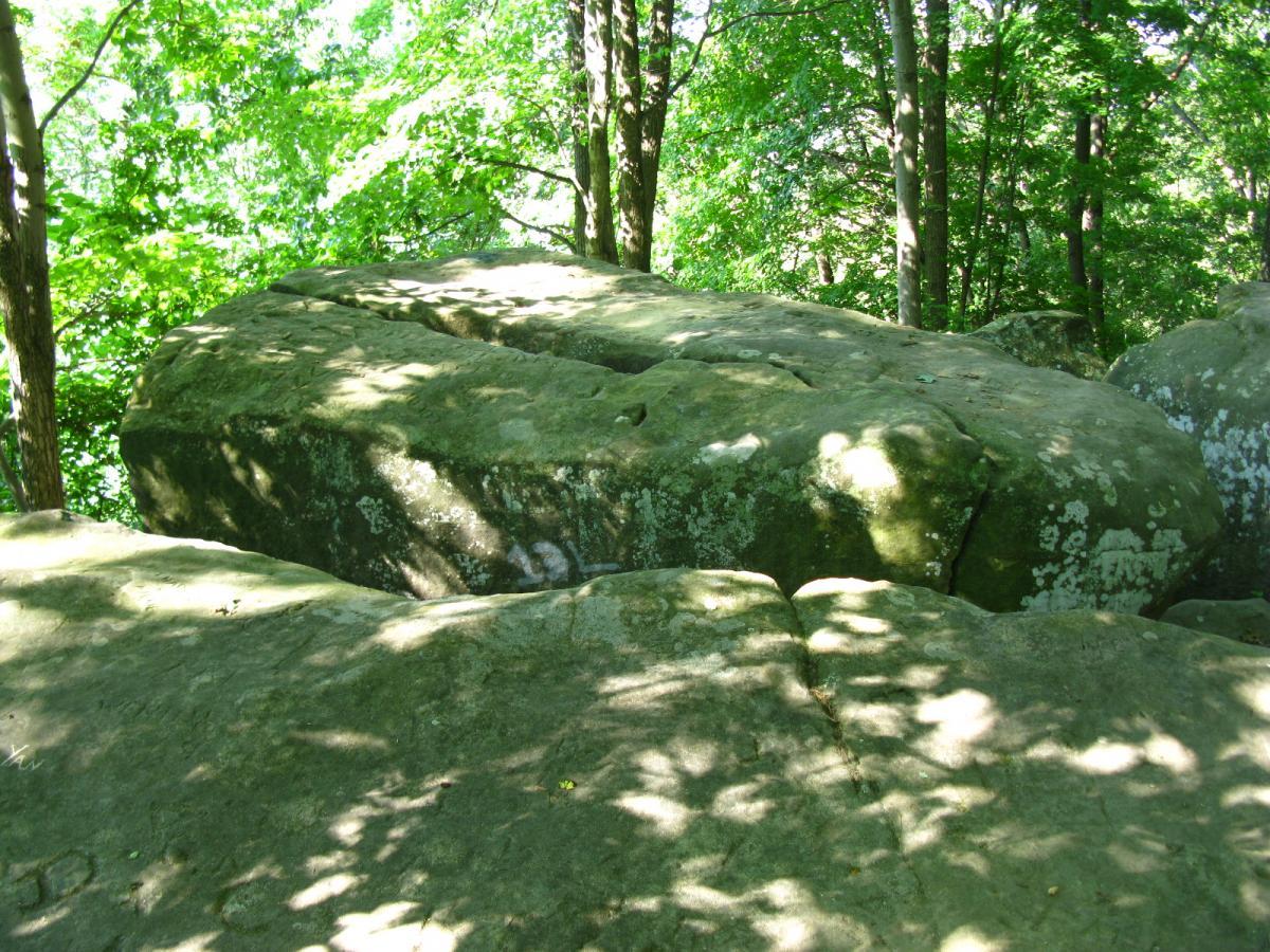 Large, uneven boulders covered in moss and surrounded by lush green trees, casting dappled shadows on their surfaces in a forest setting. Sells Park mountain bike trail.
