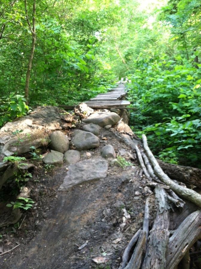 A wooded path leading up a slope, featuring a wooden bridge that spans over rocks and dirt. Lush greenery surrounds the trail, with various plants and trees filling the scene. Frick Park mountain bike trail.