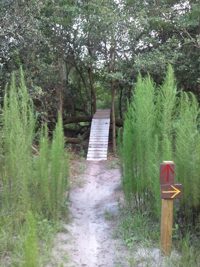 A narrow wooden bridge leads into a dense forest, flanked by tall, green grass-like plants. A dirt path winds gently towards the bridge, with a wooden signpost on the right indicating directions with arrows pointing straight ahead and to the right. The lush foliage creates a natural archway over the trail, inviting exploration. Loyce E. Harpe Park mountain bike trail.